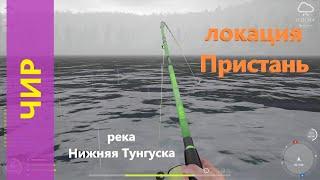 Русская рыбалка 4 - река Нижняя Тунгуска - Чир у пристани