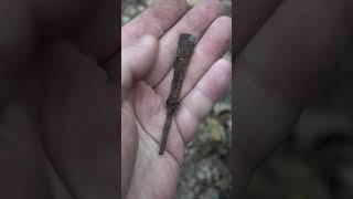 Интересный наконечник стрелы нашли в лесу #shorts #metaldetecting #поисксметаллоискателем