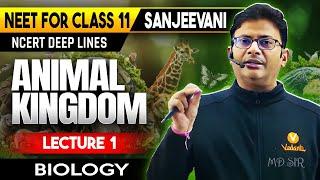 ANIMAL KINGDOM CLASS 11 | ALL CONCEPTS & THEORY | SANJEEVANI SERIES NEET 2025 | ZOOLOGY BY MD SIR