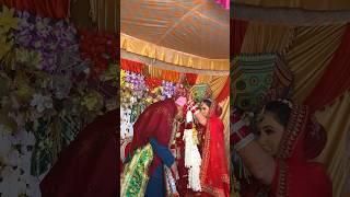 364/365 -Himachali Marriage Day-1  #minivlog #himachali #wedding #pahadi #shortvideo