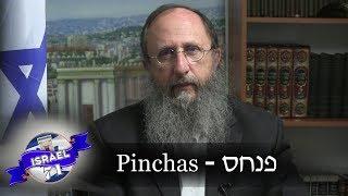 Weekly Torah Portion: Pinchas