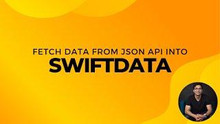 Fetch Data from JSON API into SwiftData Database