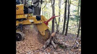 Stump Grinding RG55T-R Destroyer