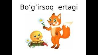 Bo'g'irsoq