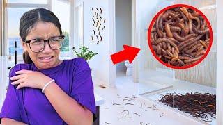 We FOUND WORMS inside our NEW HOUSE!