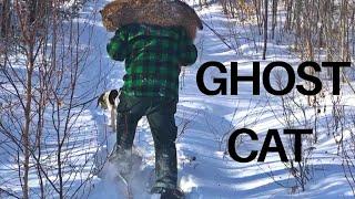 Ghost Cat: Hounds on the Hunt in the Maine Woods