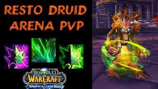 RESTO DRUID PvP +2400 - WotLK Classic