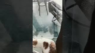 Nature watching.