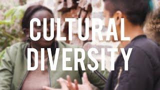 CULTURAL DIVERSITY: How can I celebrate my friends?