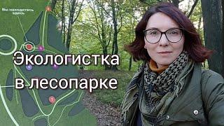 Лесопарк Теодора Кроне в Калининграде ранней осенью, прогулка по познавательному маршруту