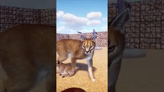 Grasslands Animal Pack: Caracal