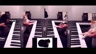 The funky russian train || Maxwell cat (Cover) - Keyboard Cats Qquartet