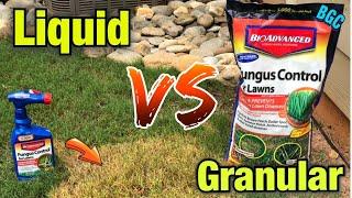 Best Fungus control for Bermuda Grass // Bio Advanced // Dollar spot , brown patch quick fix