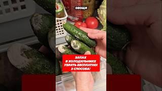 Эти хитрости вас удивят! Как избавится от запаха в холодильнике #запахи  #хитрости #lifehacks #совет