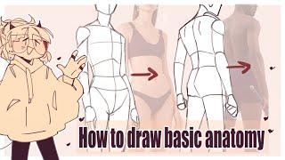 How to draw basic anatomy