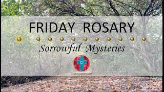 Friday Rosary • Sorrowful Mysteries of the Rosary  October 11, 2024 VIRTUAL ROSARY - MEDITATION