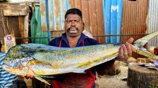 KASIMEDU  SPEED SELVAM | HUGE MAHI MAHI FISH CUTTING VIDEO | 4K VIDEO | KM FISH CUTTING