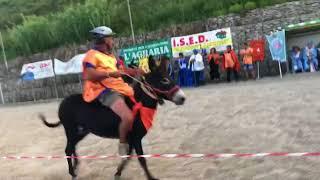 Formia, palio degli asini a Penitro