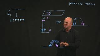 illumina paired end sequencing