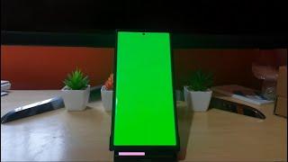 Green Screen Galaxy S22 Fix