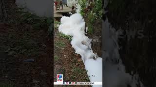 തൃശൂരിൽ പതമഴ.... #foamrain #thrissur|  #ManoramaNews