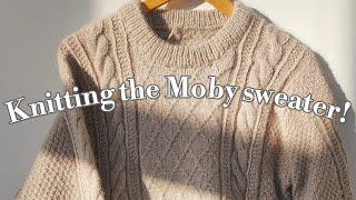 I Knit The Moby Sweater️  #petiteknit