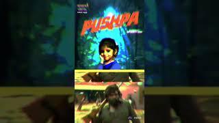 pushpa  the rise,
