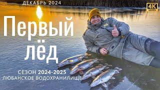 Первый лёд в Беларуси. Зимняя рыбалка 2024-2025