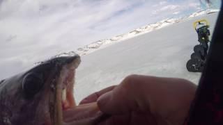 Ice Fishing Strawberry Reservoir Utah