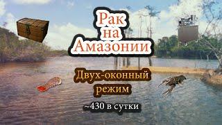 Рак на Амазонии | Рыбалка в 2 окна | РР 3.99