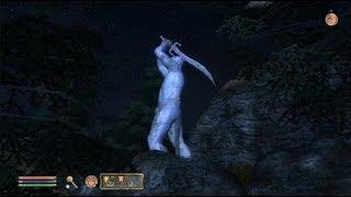 TES IV Oblivion #58 Малакат