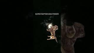 SUPER RAPTOR-DOG POWERS ACTIVATE!!!