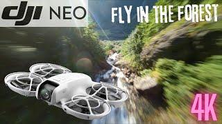 DJI NEO - CINEMATIC FPV FLY IN THE FOREST - 4K