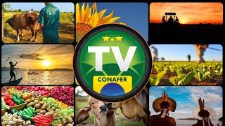 TV CONAFER 1ª Edição 2023