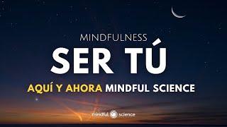  Meditación Guiada: Suelta las Exigencias Externas y Encuentra Paz Interior ‍️Sé Tú Mismo