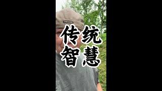 这些传统智慧你都知道吗 #认知觉醒 #健康养生#养生老九#健康#养生
