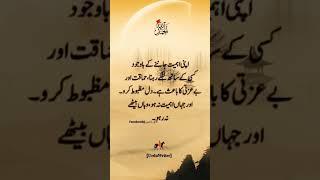 #urdupoetrylines #urduadab #motivationalquot #muslim #shorts #reels #urdulanguage #dailyurduwords 