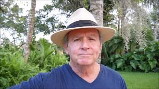 My Tropical Yard in Jupiter, FL: Palms, Ferns & Elephant Ears