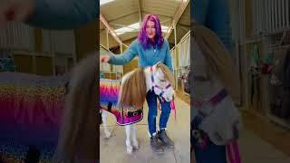 Unicorn Makeover  #horse #horses #pony #equestrian #pet #pets #makeover #shorts