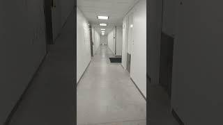 So You Wanna See Inside An Insane Asylum