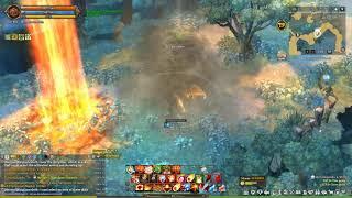 Tree Of Savior pyromancer and elementalist skill bug