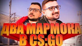 ДВА МАРМОКА! ТРОЛЛИНГ ГОЛОСОМ МАРМОКА В CS:GO #6