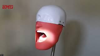 UMG New Style Dental Teaching Simulation Unit UMG-IX