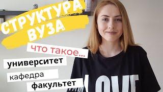 Структура вуза. Инструкция по применению #КСЮНАВСЮ