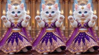 Cutest Cat videos funny danceVideos for cats | बिल्ली डांस | cat dance funny cats #dancingcat #cat