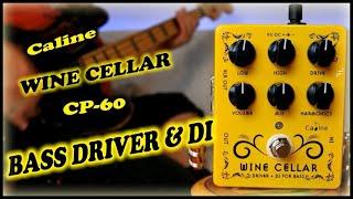 Caline CP-60 Wine Cellar Bass Drive and DI