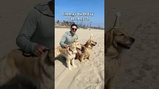 Celebrating my dog’s first birthday at the beach