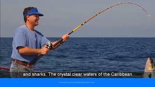 Fishing Charters | Deep Sea Fishing Charters Boynton Beach, Florida