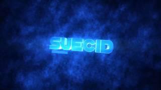 Suec1d Intro