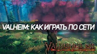 Как играть по сети в неофициальный Valheim